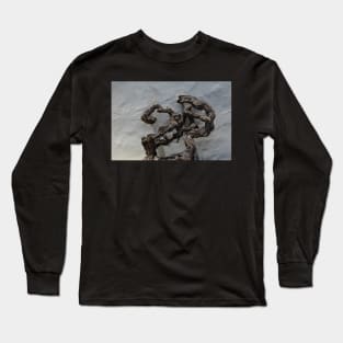 Old Grapevine Long Sleeve T-Shirt